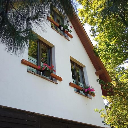Pele Vendeghaz Villa Velem Exterior photo